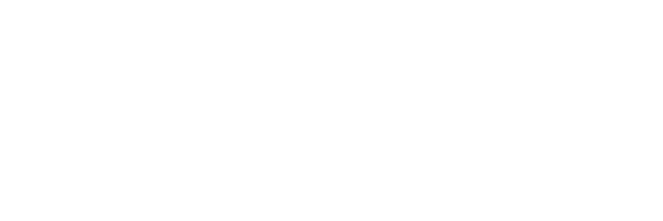 LEVELTX.com logo